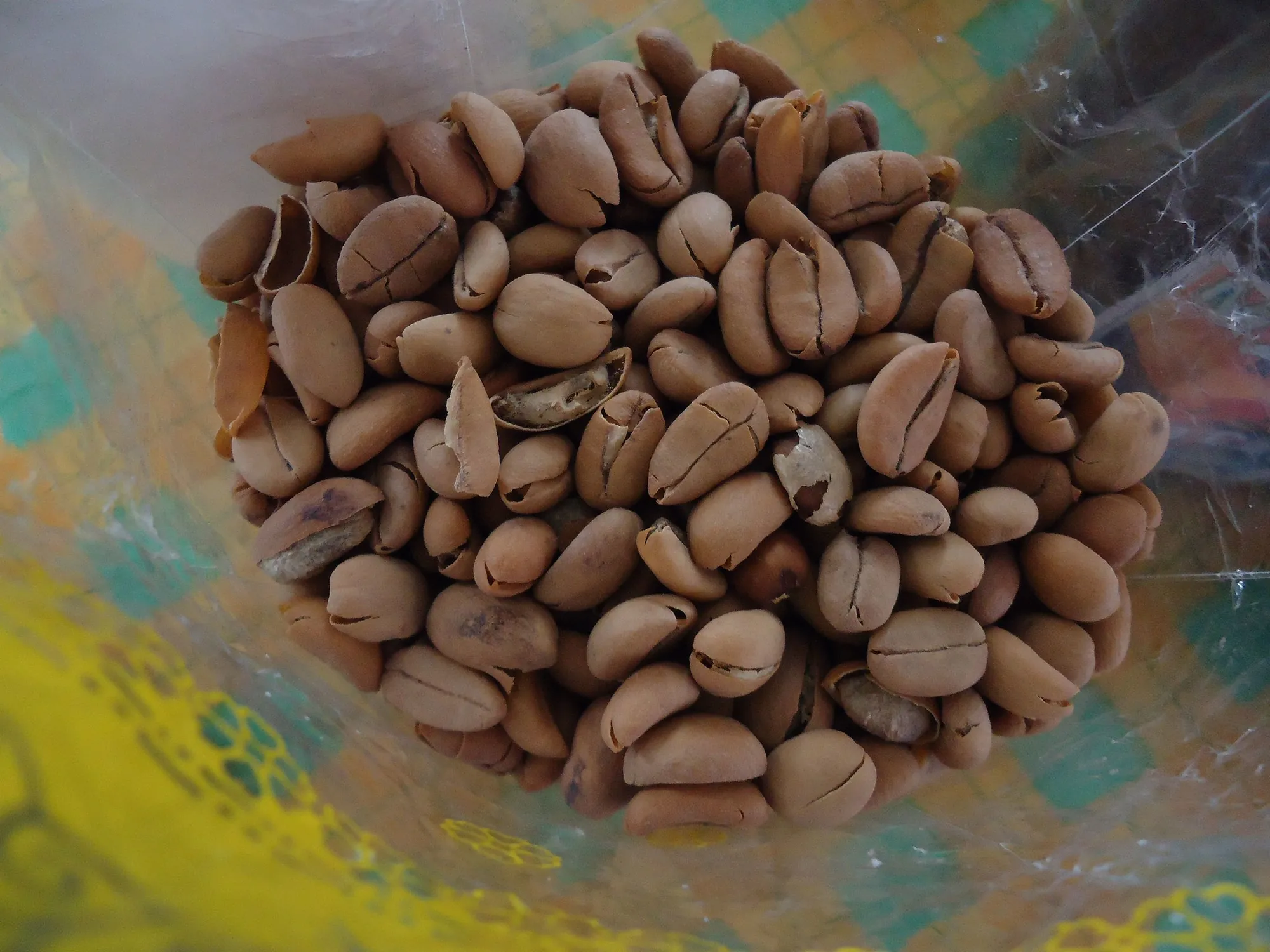A bowl of coffee beans