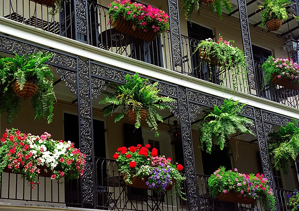 New Orleans - French Quarter 'Cast Iron Balcony & Baskets'